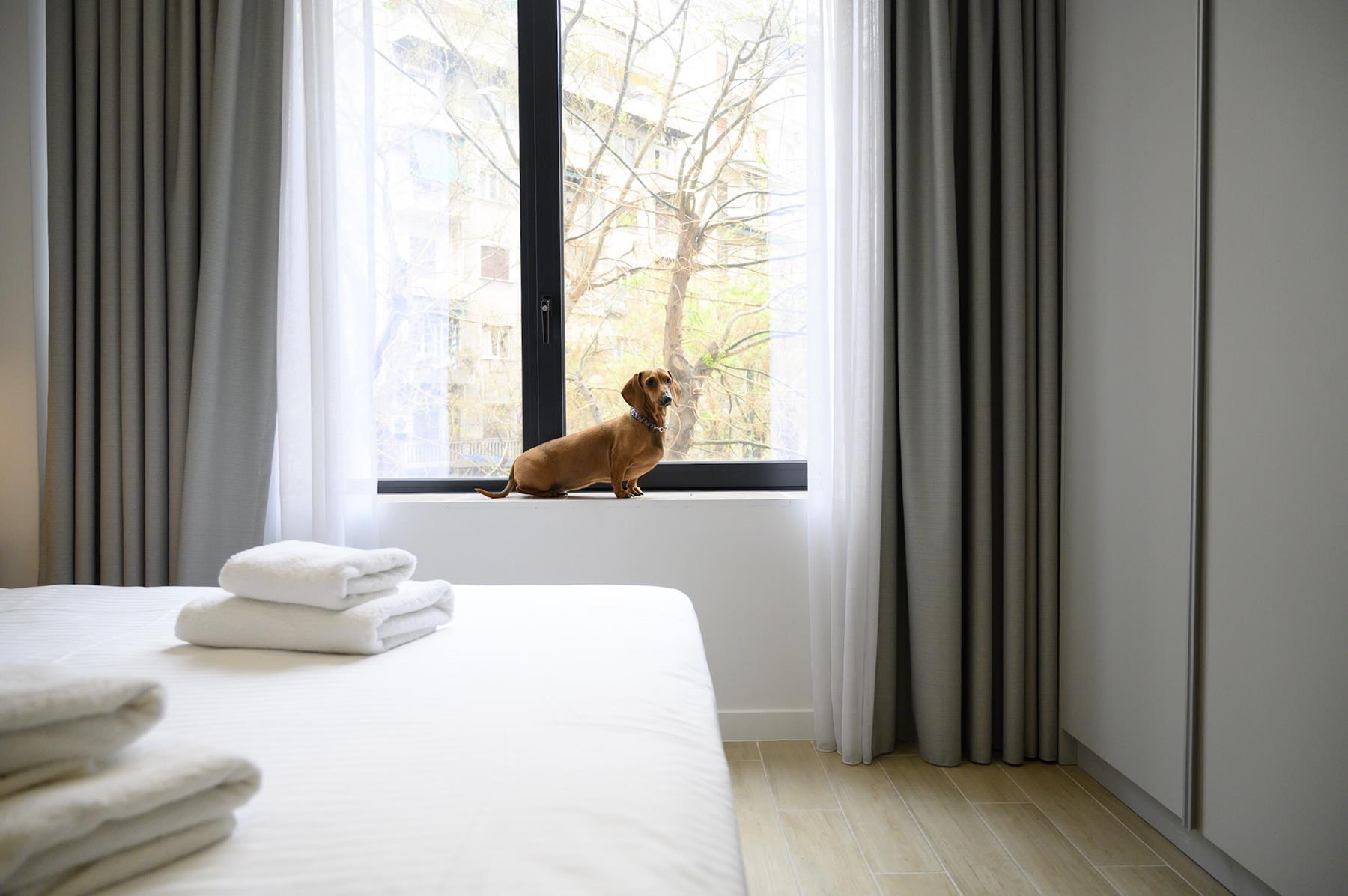 Pet Friendly (10) Pet Friendly (10)