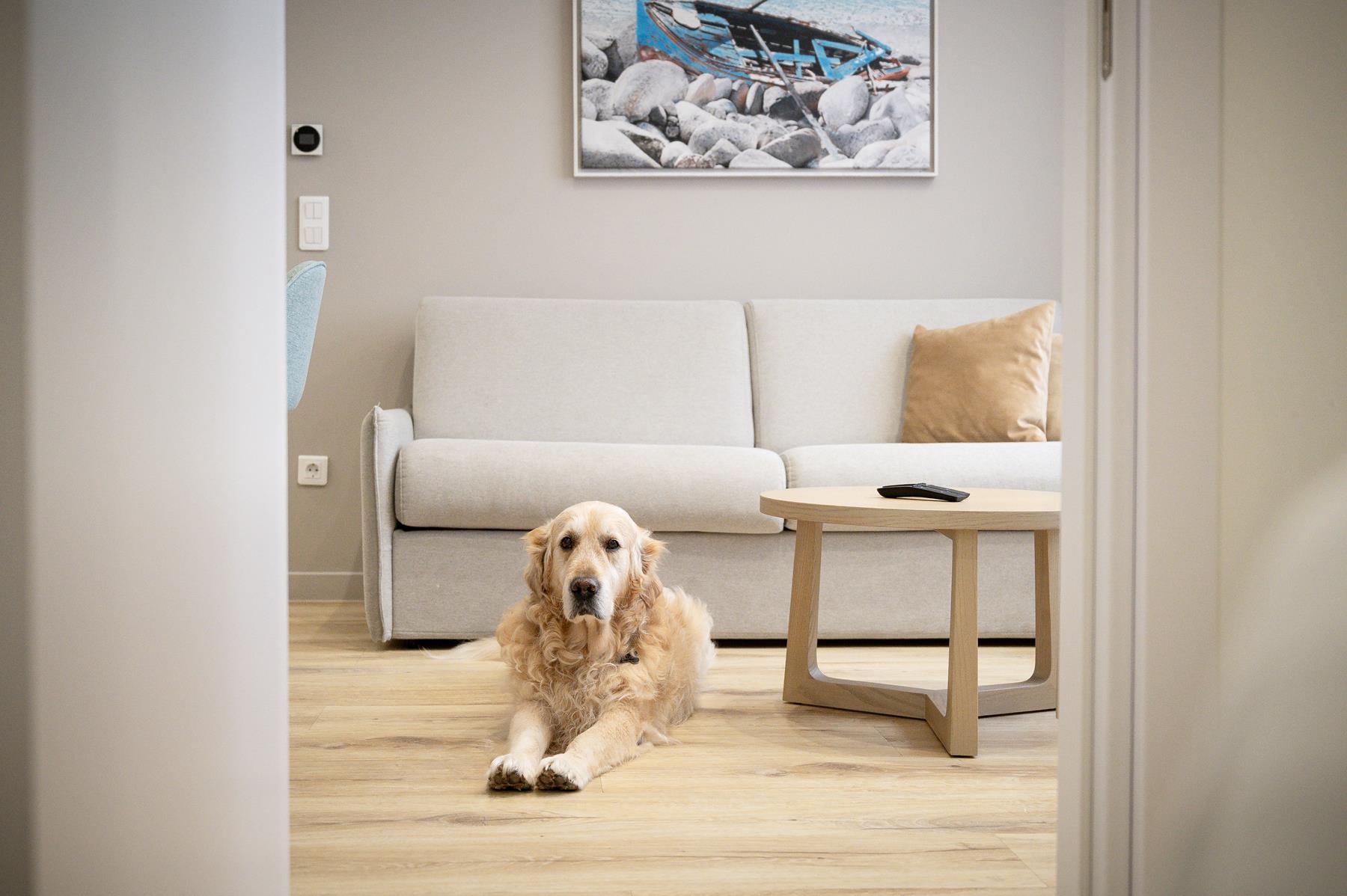 pet friendly (12) pet friendly (12)