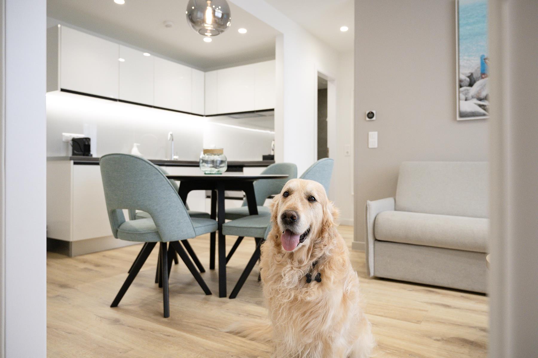 pet friendly (13) pet friendly (13)