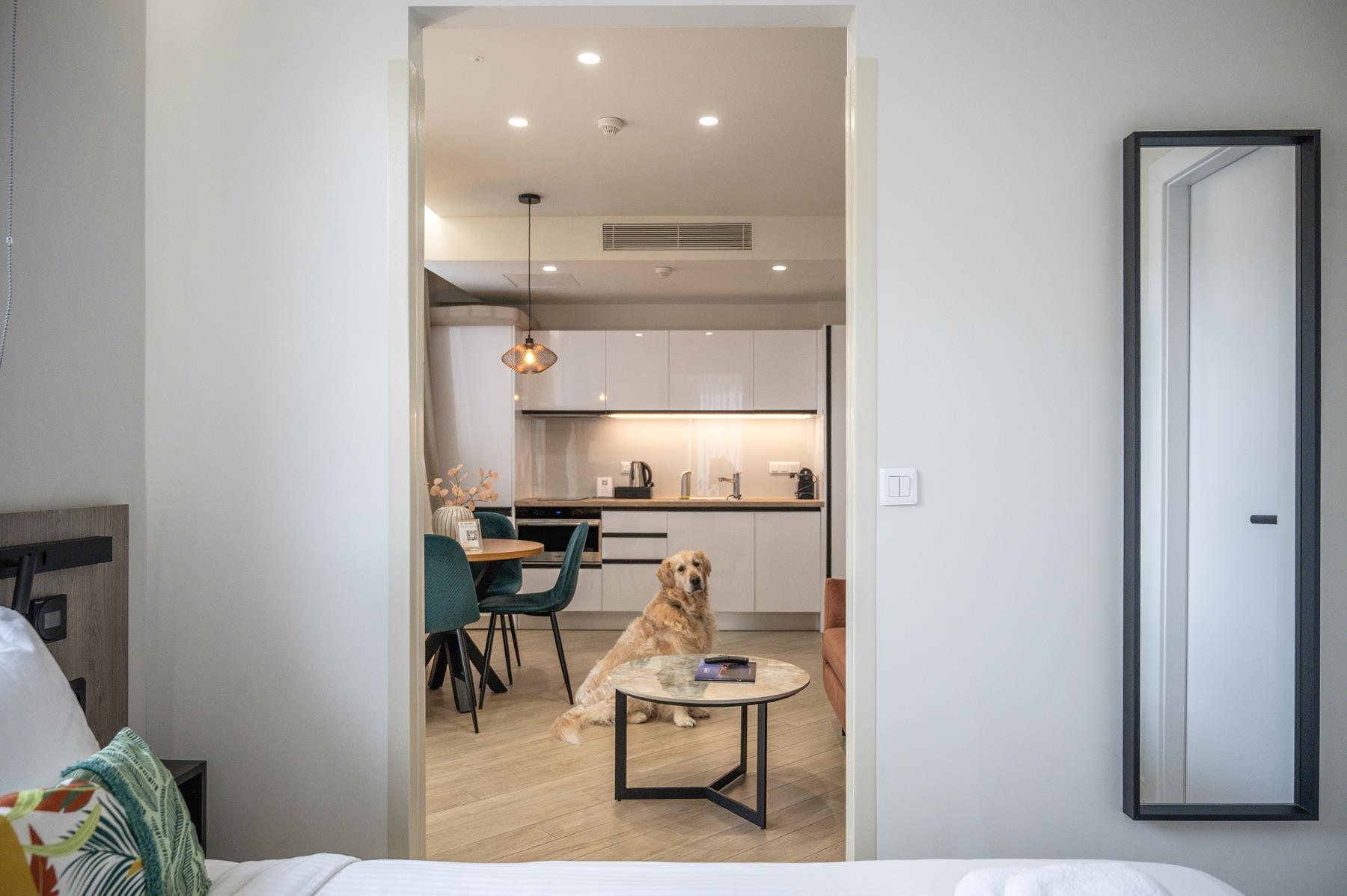 pet friendly (18) pet friendly (18)