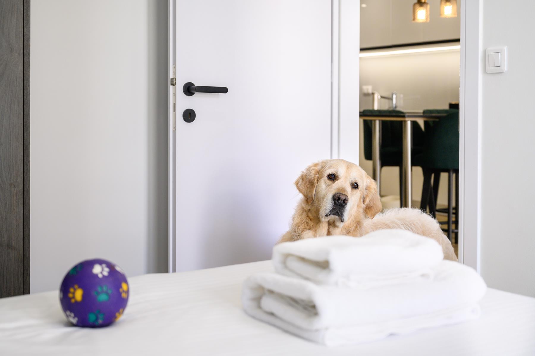 pet friendly (5) pet friendly (5)