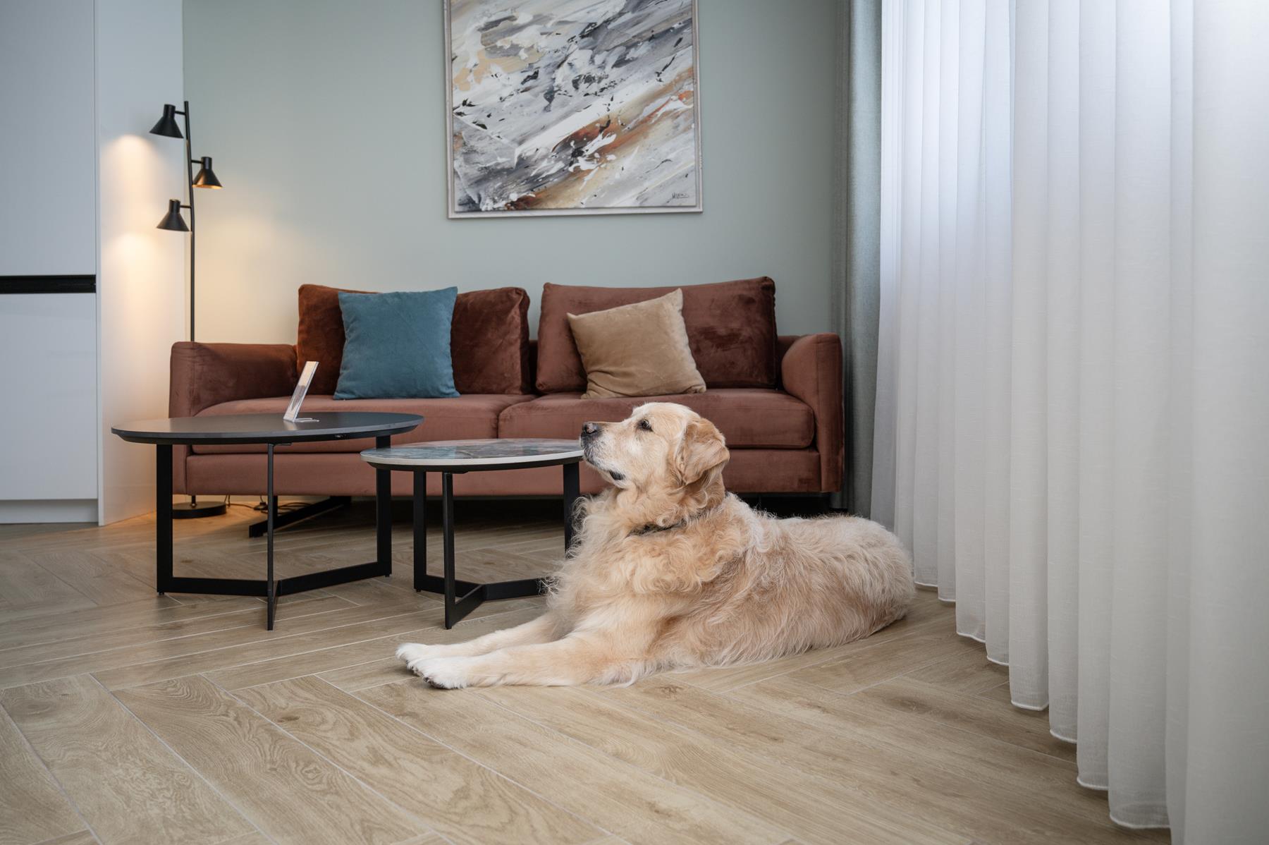 pet friendly (6) pet friendly (6)