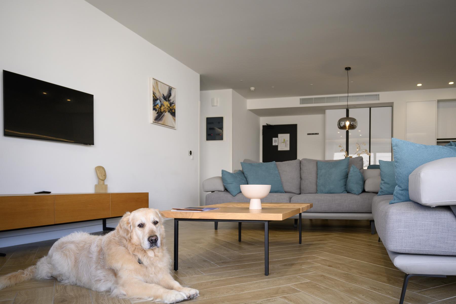 pet friendly (8) pet friendly (8)